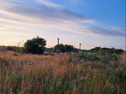 Bushbabies Lodge Hammanskraal Gauteng South Africa Field, Nature, Agriculture, Lowland