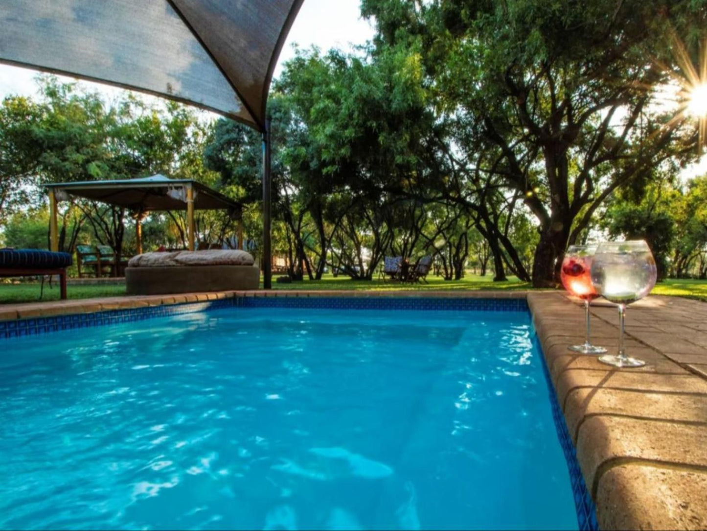 Bushbabies Lodge Hammanskraal Gauteng South Africa Complementary Colors, Garden, Nature, Plant, Swimming Pool