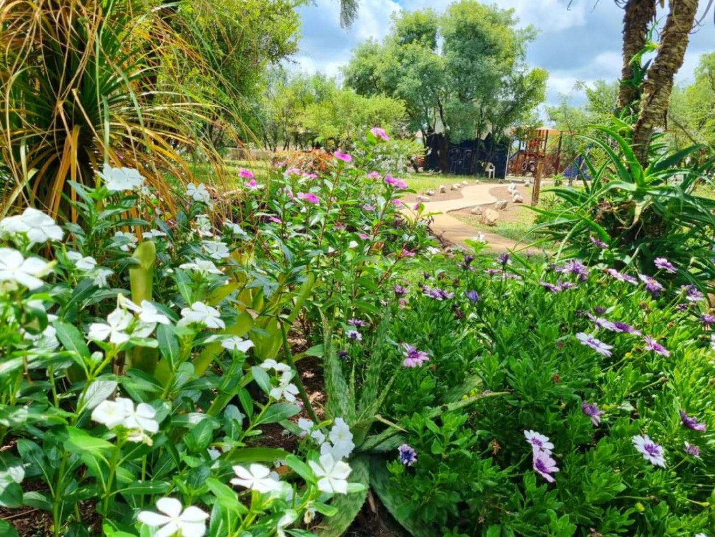 Bushbabies Lodge Hammanskraal Gauteng South Africa Colorful, Plant, Nature, Garden