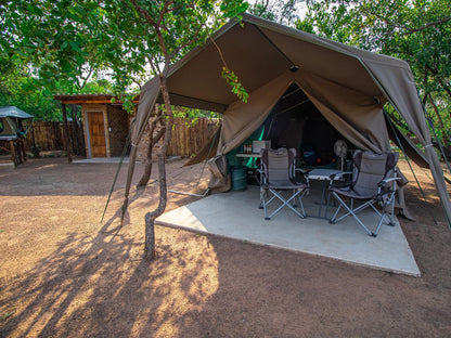 Tented Camp with Private Ablution @ Bushbabies Lodge