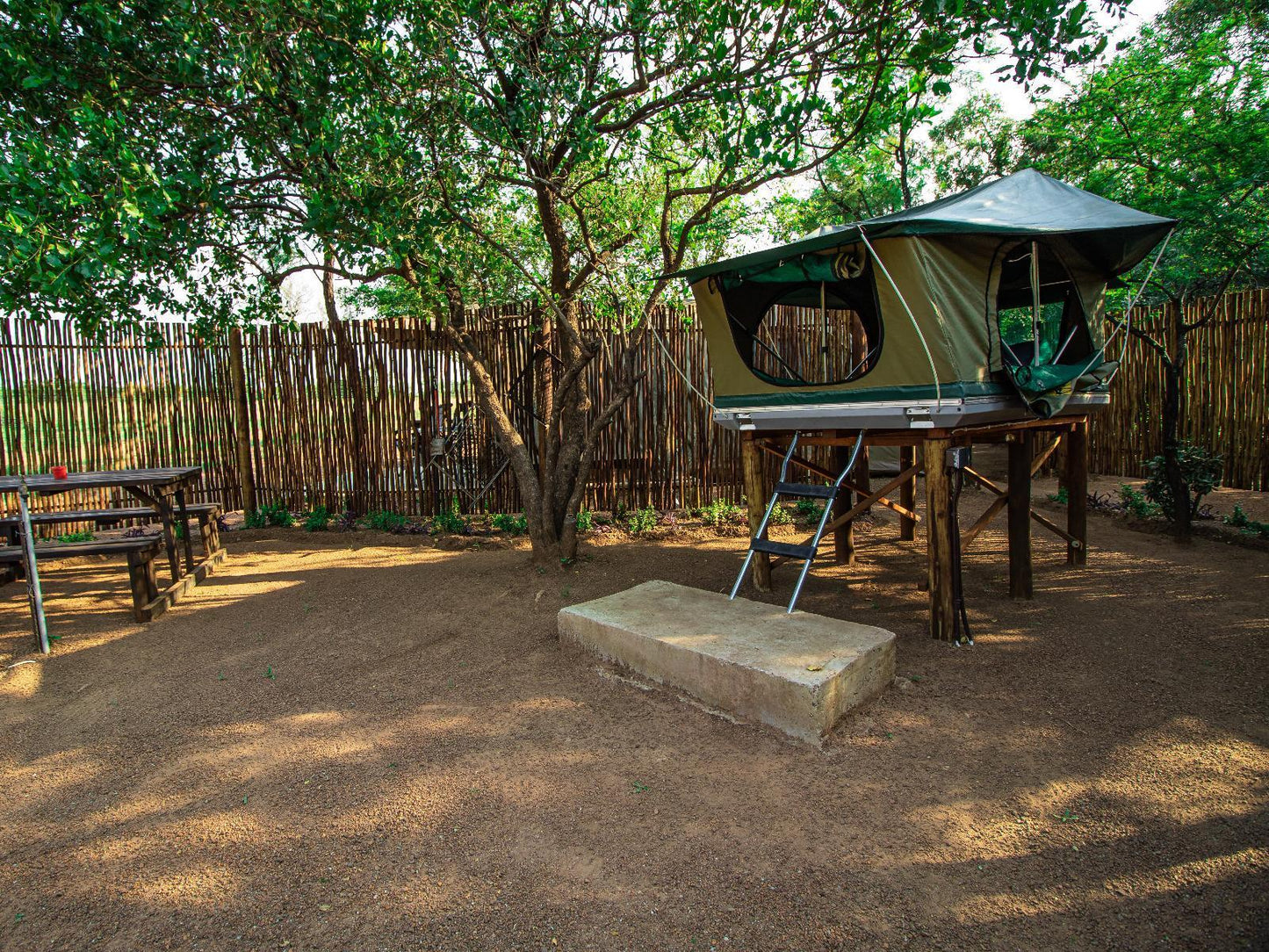 Tented Camp with Private Ablution @ Bushbabies Lodge