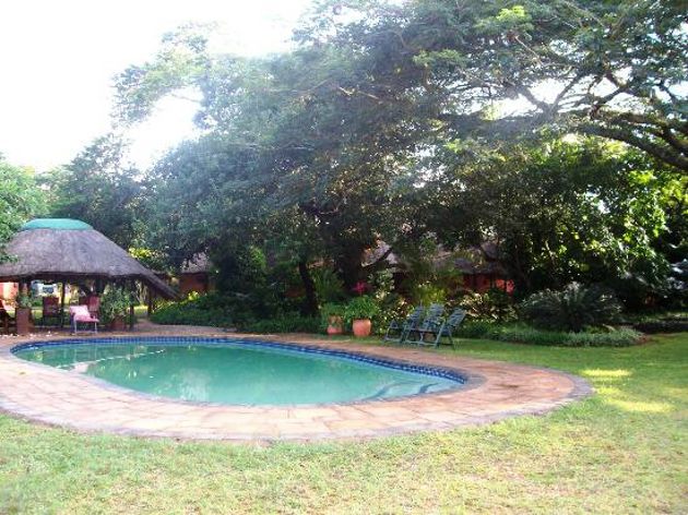 Bushbaby Lodge And Camping Hluhluwe Kwazulu Natal South Africa Garden, Nature, Plant, Swimming Pool