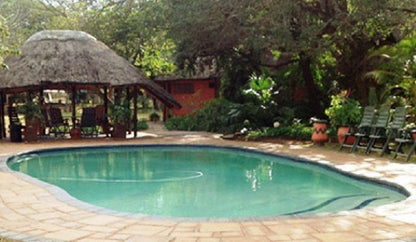 Bushbaby Lodge And Camping Hluhluwe Kwazulu Natal South Africa Swimming Pool