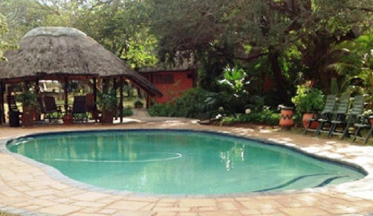 Bushbaby Lodge And Camping Hluhluwe Kwazulu Natal South Africa Swimming Pool