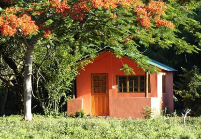 Bushbaby Lodge And Camping Hluhluwe Kwazulu Natal South Africa House, Building, Architecture