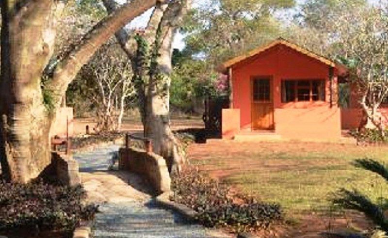 Bushbaby Lodge And Camping Hluhluwe Kwazulu Natal South Africa 