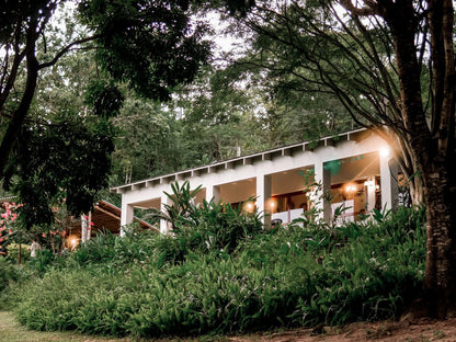 Bushbaby Valley Lodge