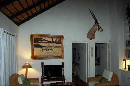 Bush Baby Lodge Marloth Park Mpumalanga South Africa Picture Frame, Art