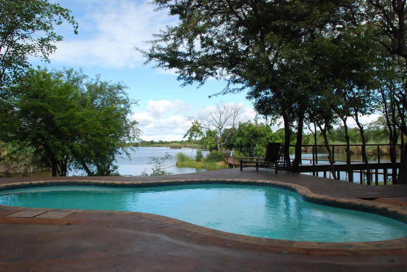 Bush Haven Lodge Phalaborwa Limpopo Province South Africa Swimming Pool