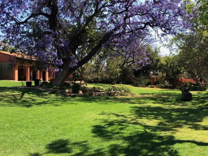 The Bush House Madikwe Game Reserve North West Province South Africa Plant, Nature, Garden