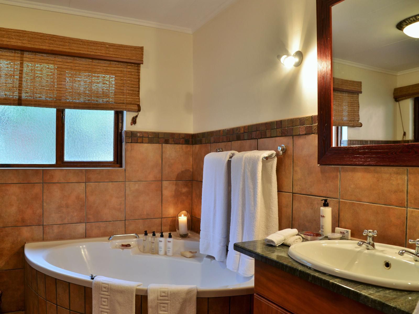 The Bush House Madikwe Game Reserve North West Province South Africa Bathroom