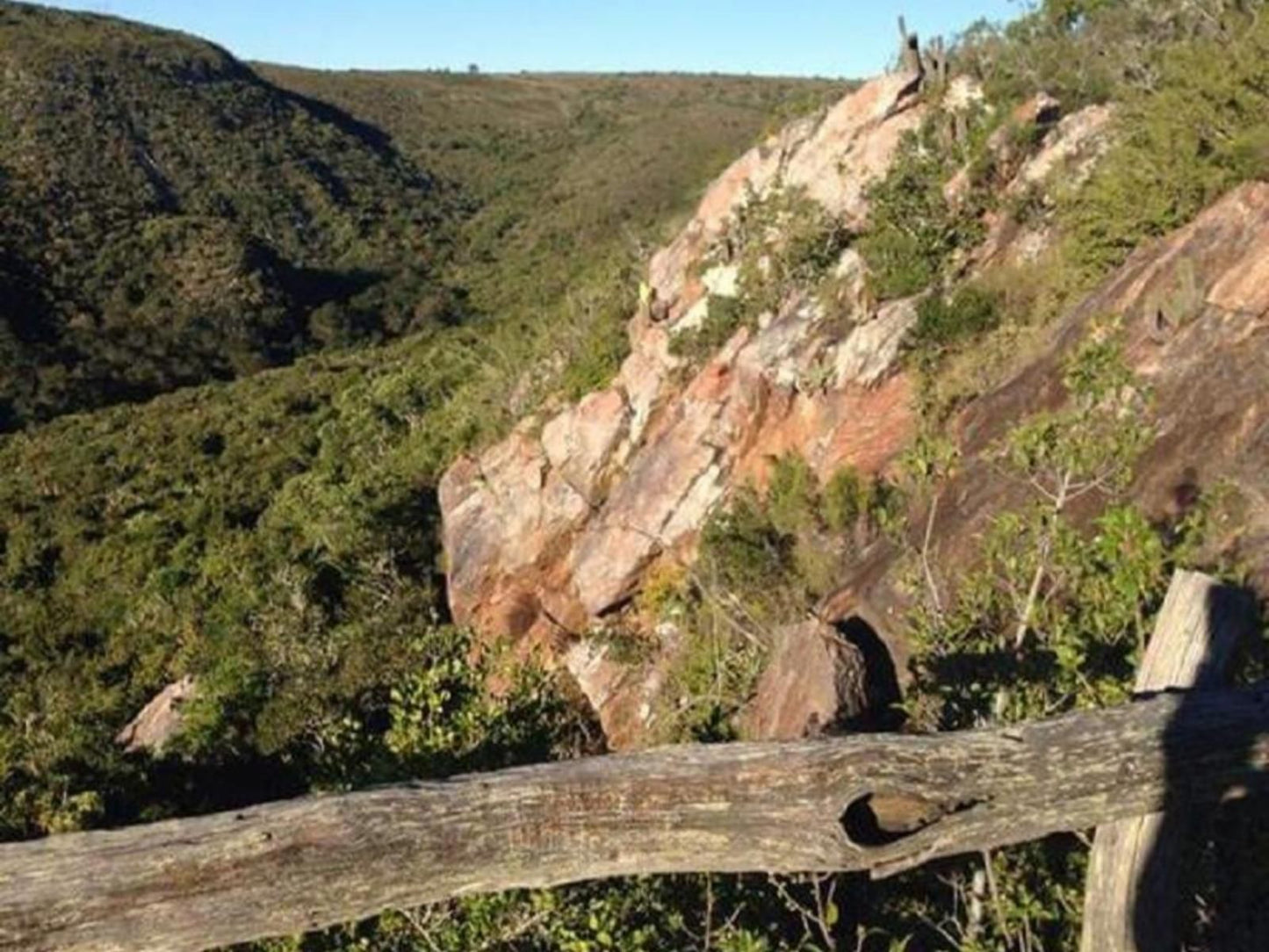 Bushmans Gorge Lodge Grahamstown Eastern Cape South Africa Cliff, Nature, Forest, Plant, Tree, Wood