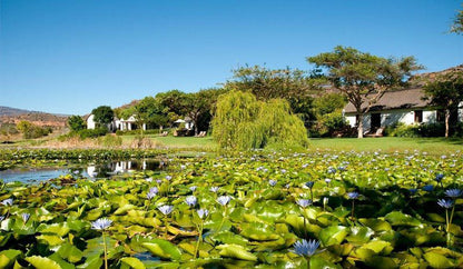 Bushmans Kloof Wilderness Reserve And Wellness Retreat Clanwilliam Western Cape South Africa Complementary Colors, Plant, Nature, Garden