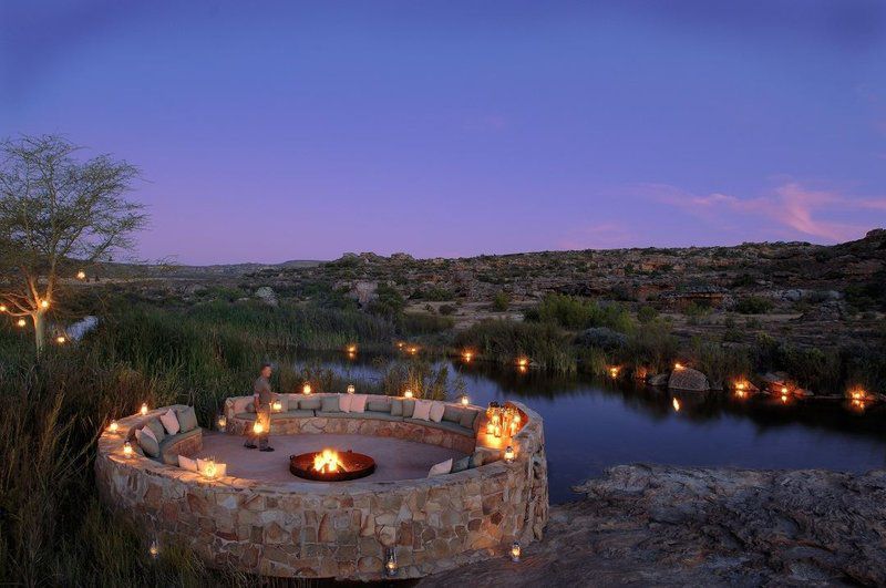 Bushmans Kloof Wilderness Reserve And Wellness Retreat Clanwilliam Western Cape South Africa Nature