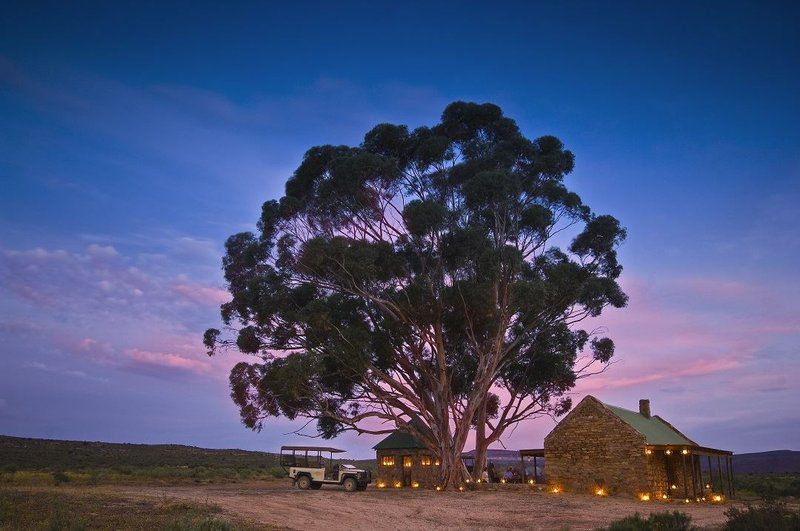 Bushmans Kloof Wilderness Reserve And Wellness Retreat Clanwilliam Western Cape South Africa Building, Architecture, Tree, Plant, Nature, Wood