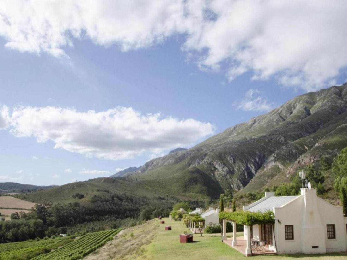 Bushmanspad Estate Bonnievale Western Cape South Africa Mountain, Nature, Highland