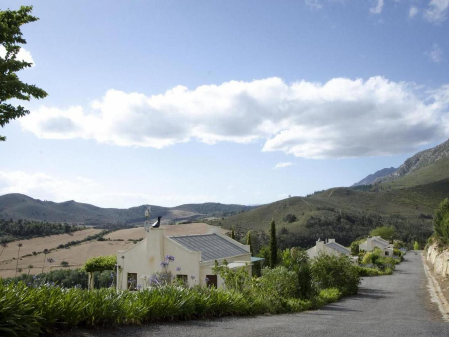 Bushmanspad Estate Bonnievale Western Cape South Africa Highland, Nature