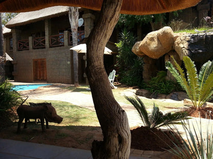Bushman S Rock Country Lodge Kameeldrift East Pretoria Tshwane Gauteng South Africa 