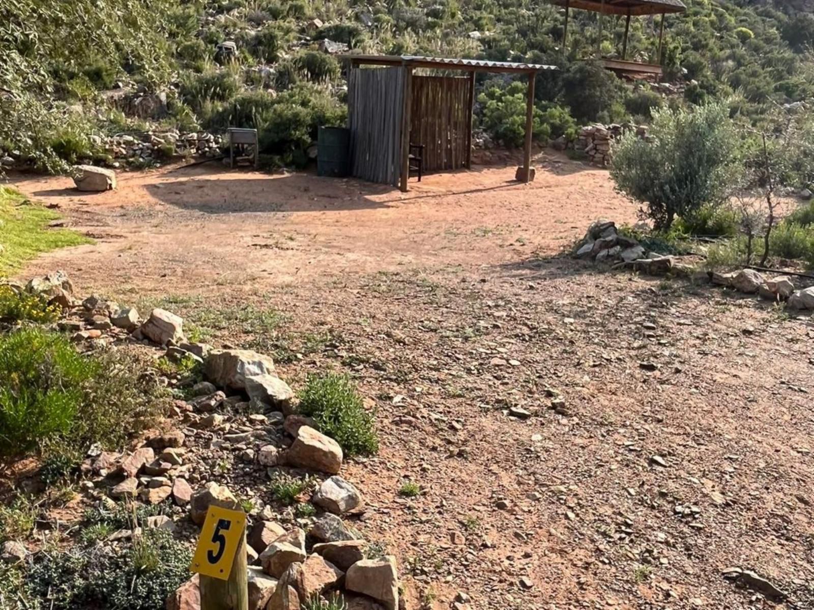 Bushman Valley Prince Albert Western Cape South Africa Cabin, Building, Architecture, Cactus, Plant, Nature, Sign, Garden