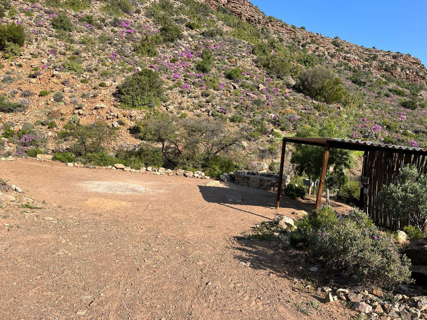 Bushman Valley Prince Albert Western Cape South Africa Cactus, Plant, Nature, Sign, Text, Cycling, Sport, Bicycle, Vehicle, Desert, Sand