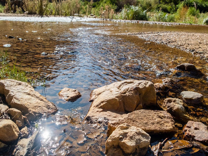 Bushman Valley Prince Albert Western Cape South Africa River, Nature, Waters