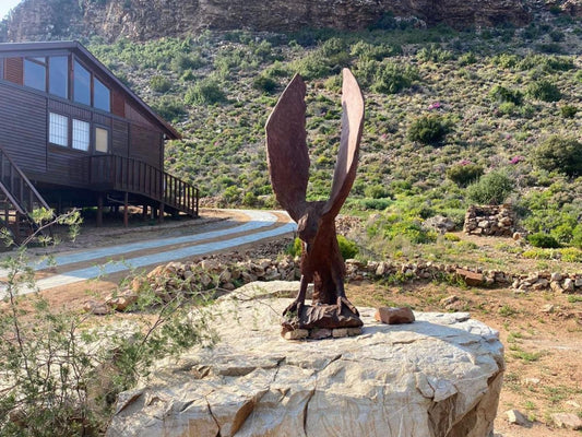 Bushman Valley Prince Albert Western Cape South Africa Cabin, Building, Architecture, Cactus, Plant, Nature