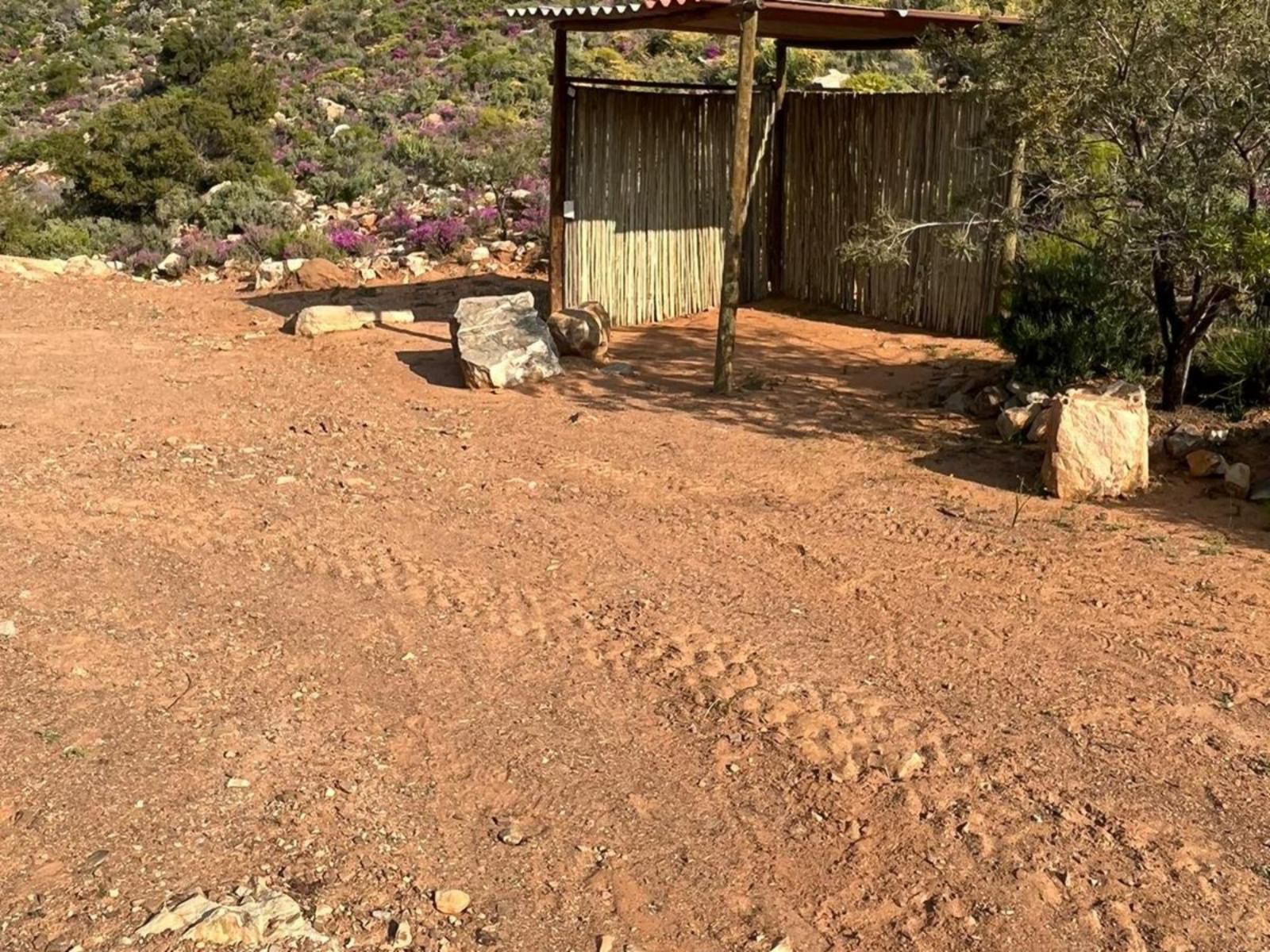 Bushman Valley Prince Albert Western Cape South Africa Cabin, Building, Architecture, Cactus, Plant, Nature