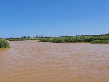 Bushpigs Haven St Lucia Kwazulu Natal South Africa Complementary Colors, Field, Nature, Agriculture, River, Waters, Lowland