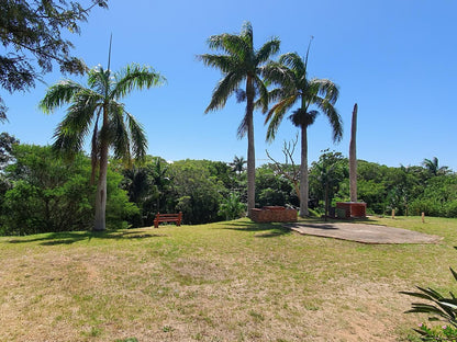 Bushpigs Haven St Lucia Kwazulu Natal South Africa Complementary Colors, Palm Tree, Plant, Nature, Wood