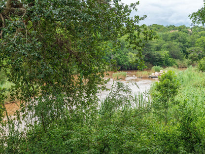Bushriver Lodge Hoedspruit Limpopo Province South Africa River, Nature, Waters, Tree, Plant, Wood