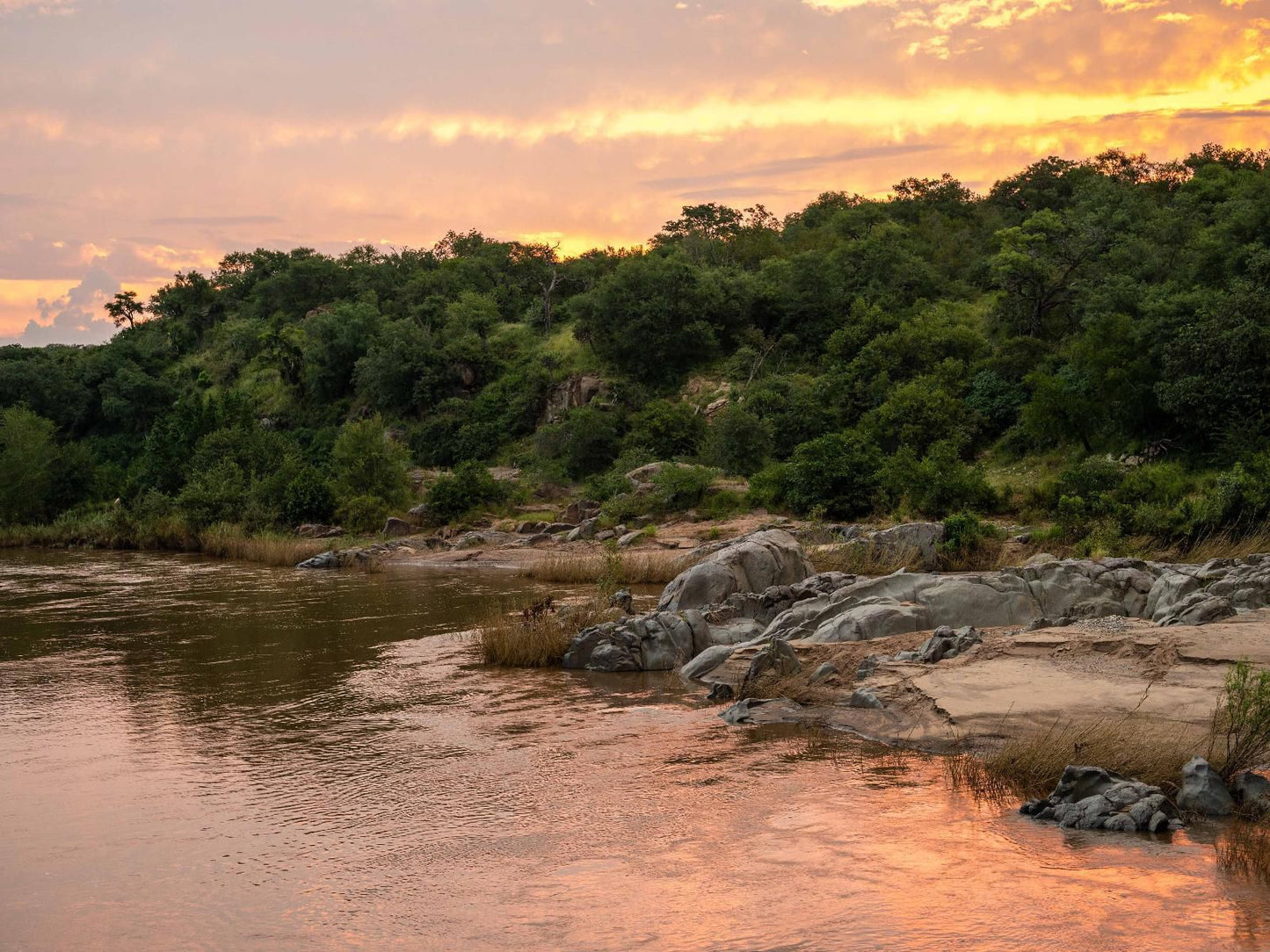 Bushriver Lodge Hoedspruit Limpopo Province South Africa River, Nature, Waters