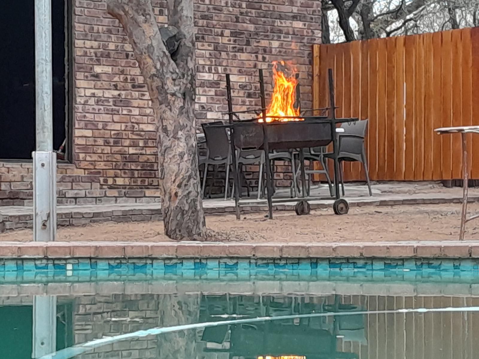 Bushveld Bliss, Fire, Nature, Fireplace