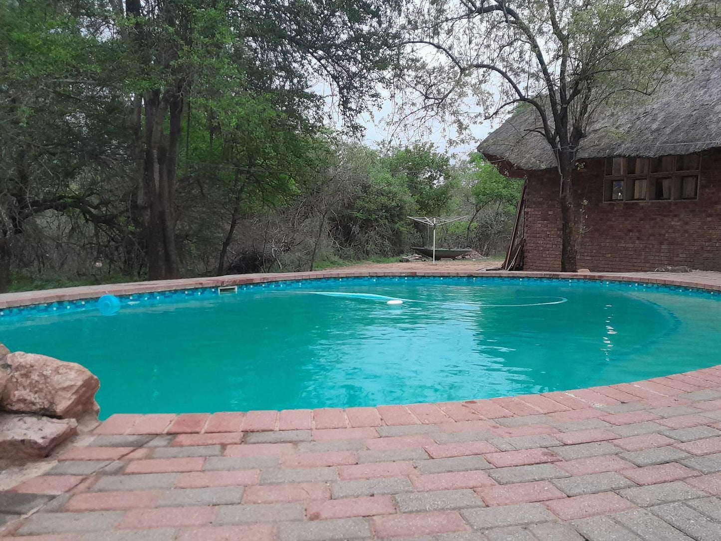 Bushveld Bliss, Swimming Pool