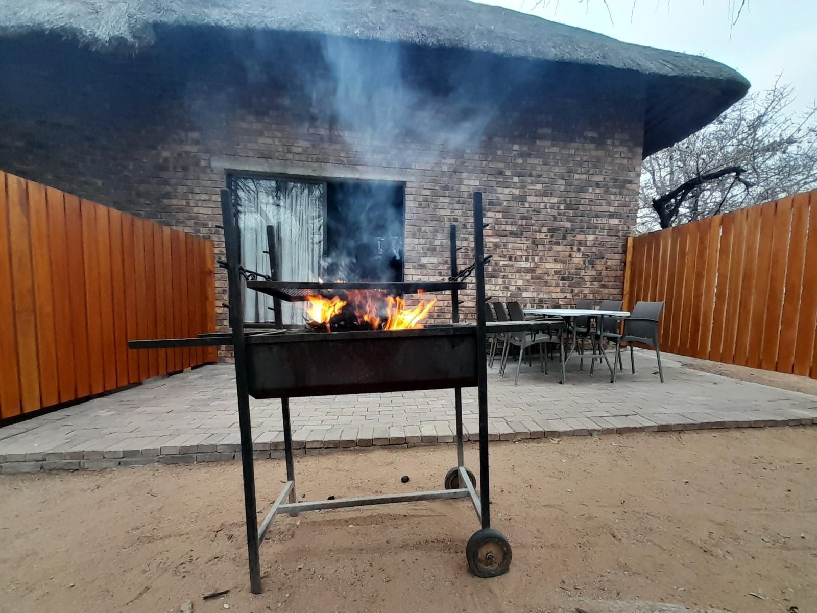 Bushveld Bliss, Fire, Nature, Fireplace