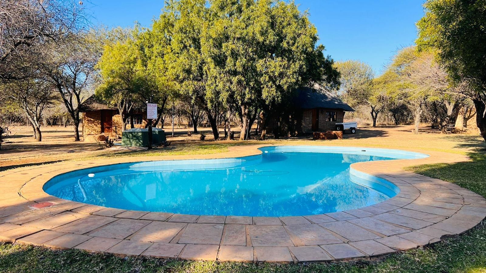 Bushview Lodge Brits North West Province South Africa Complementary Colors, Swimming Pool