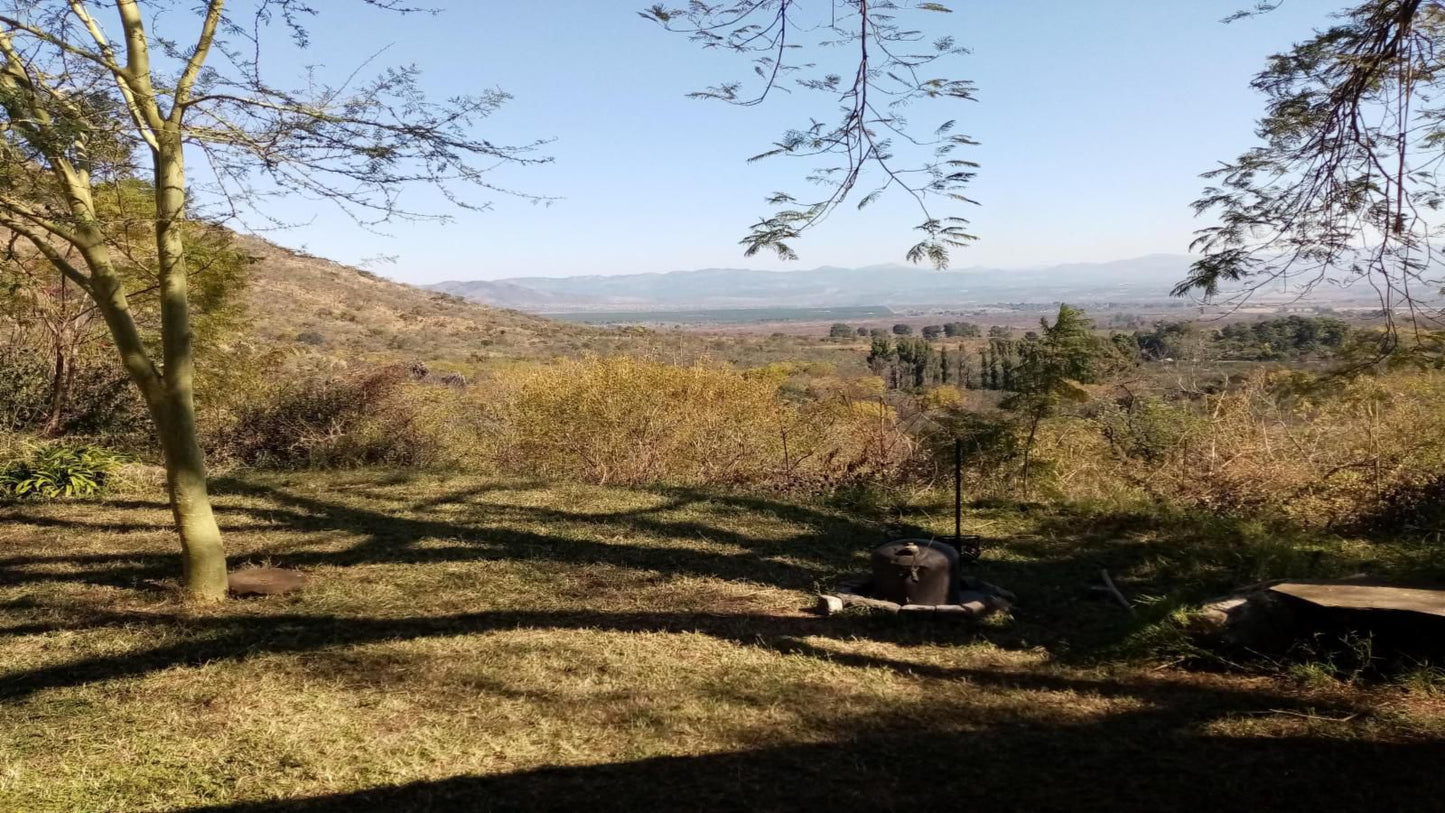 Bushwhacked Barberton Mpumalanga South Africa Complementary Colors, Tree, Plant, Nature, Wood