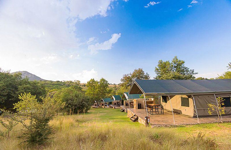 Bushwillow Tented Camp Muldersdrift Gauteng South Africa Complementary Colors