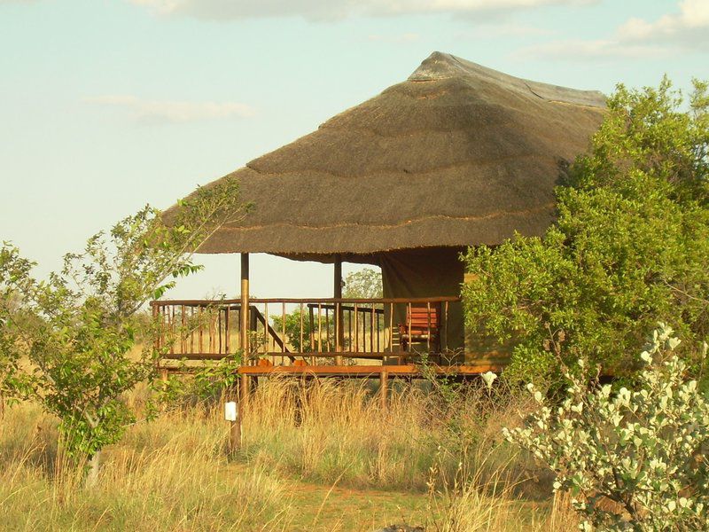 Butjani Lodge Dinokeng Gauteng South Africa 