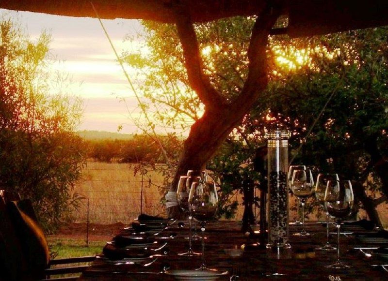 Butjani Lodge Dinokeng Gauteng South Africa Colorful, Wine, Drink, Food