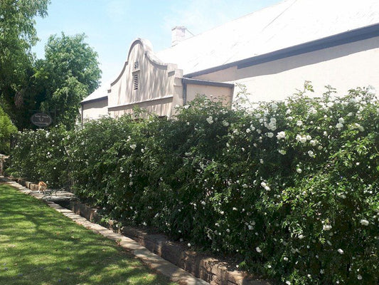 Butler House Cradock Eastern Cape South Africa House, Building, Architecture, Plant, Nature, Garden