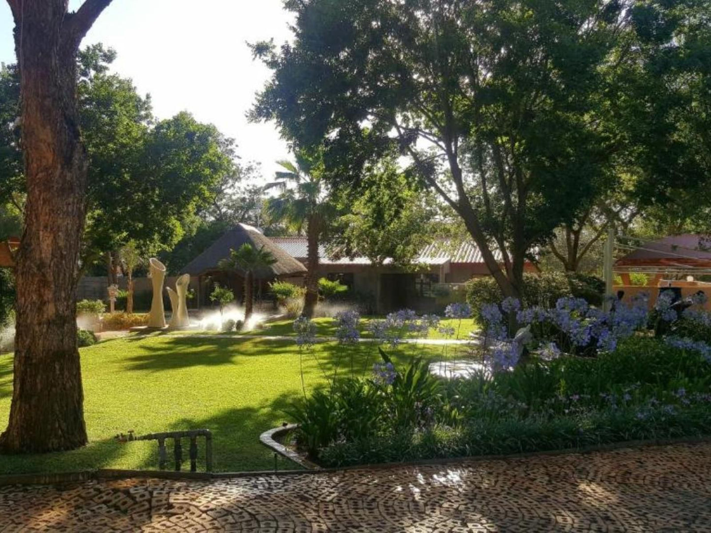 Butlers Crown, Palm Tree, Plant, Nature, Wood, Garden, Swimming Pool