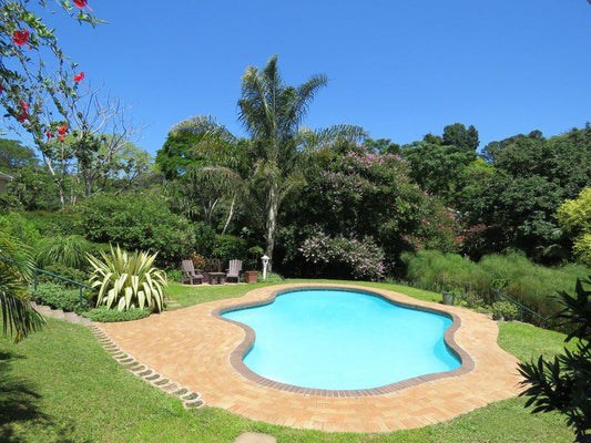 Butterscotch Bed And Breakfast Cowies Hill Durban Kwazulu Natal South Africa Complementary Colors, Palm Tree, Plant, Nature, Wood, Garden, Swimming Pool