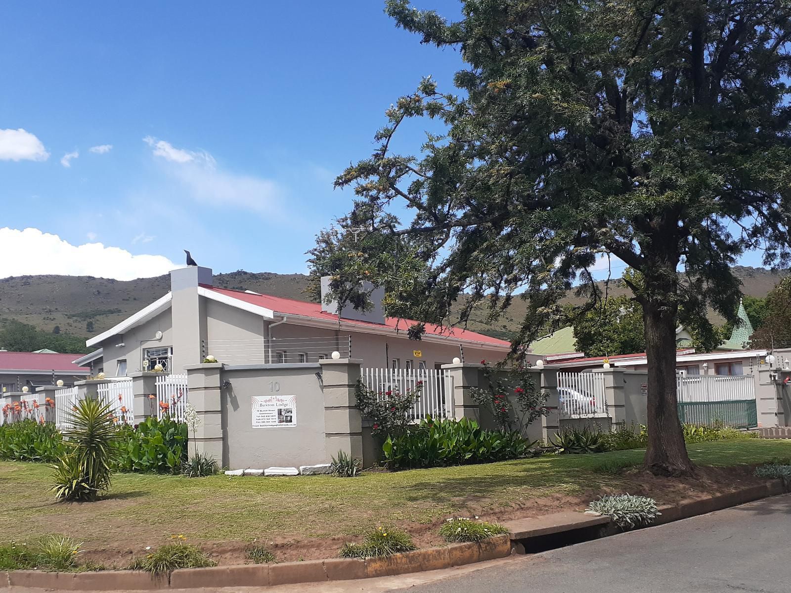 Buxton Lodge Queenstown Eastern Cape South Africa House, Building, Architecture, Palm Tree, Plant, Nature, Wood, Window