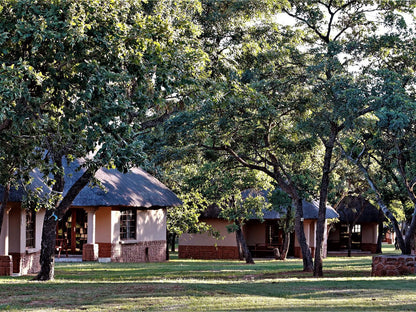 Buyskop Lodge Conference And Spa Bela Bela Warmbaths Limpopo Province South Africa Tree, Plant, Nature, Wood
