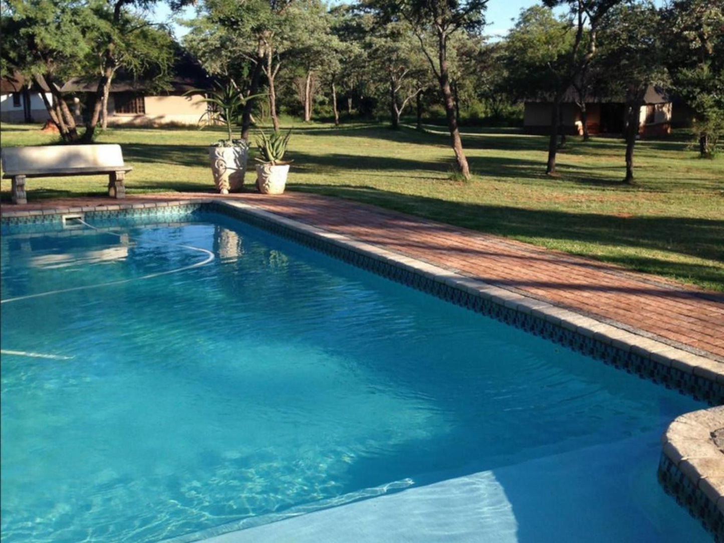 Buyskop Lodge Conference And Spa Bela Bela Warmbaths Limpopo Province South Africa Complementary Colors, Palm Tree, Plant, Nature, Wood, Swimming Pool