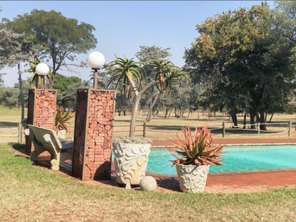 Buyskop Lodge Conference And Spa Bela Bela Warmbaths Limpopo Province South Africa Complementary Colors, Palm Tree, Plant, Nature, Wood