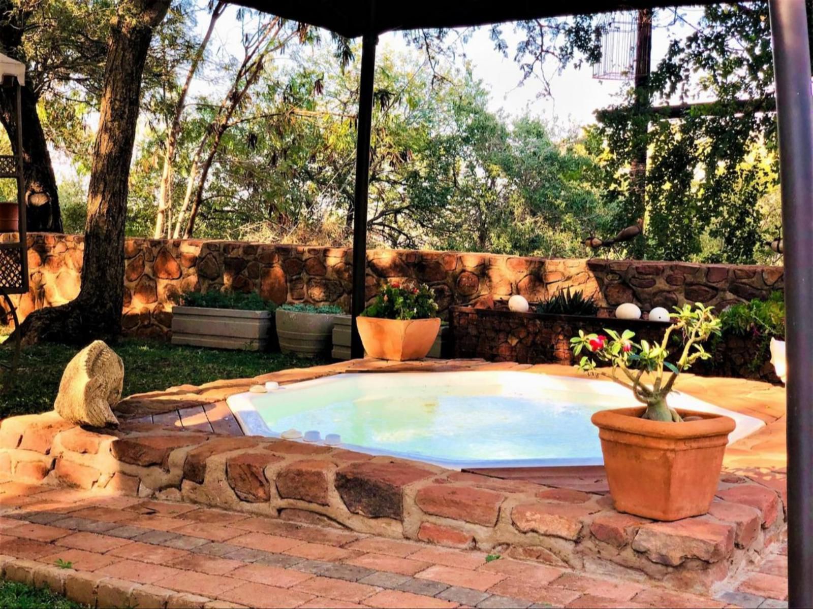 Buyskop Lodge Conference And Spa Bela Bela Warmbaths Limpopo Province South Africa Garden, Nature, Plant, Swimming Pool