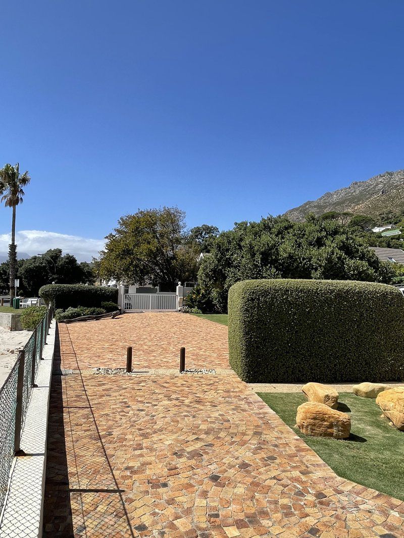 By Die See Gordons Bay Western Cape South Africa Complementary Colors, Palm Tree, Plant, Nature, Wood, Garden