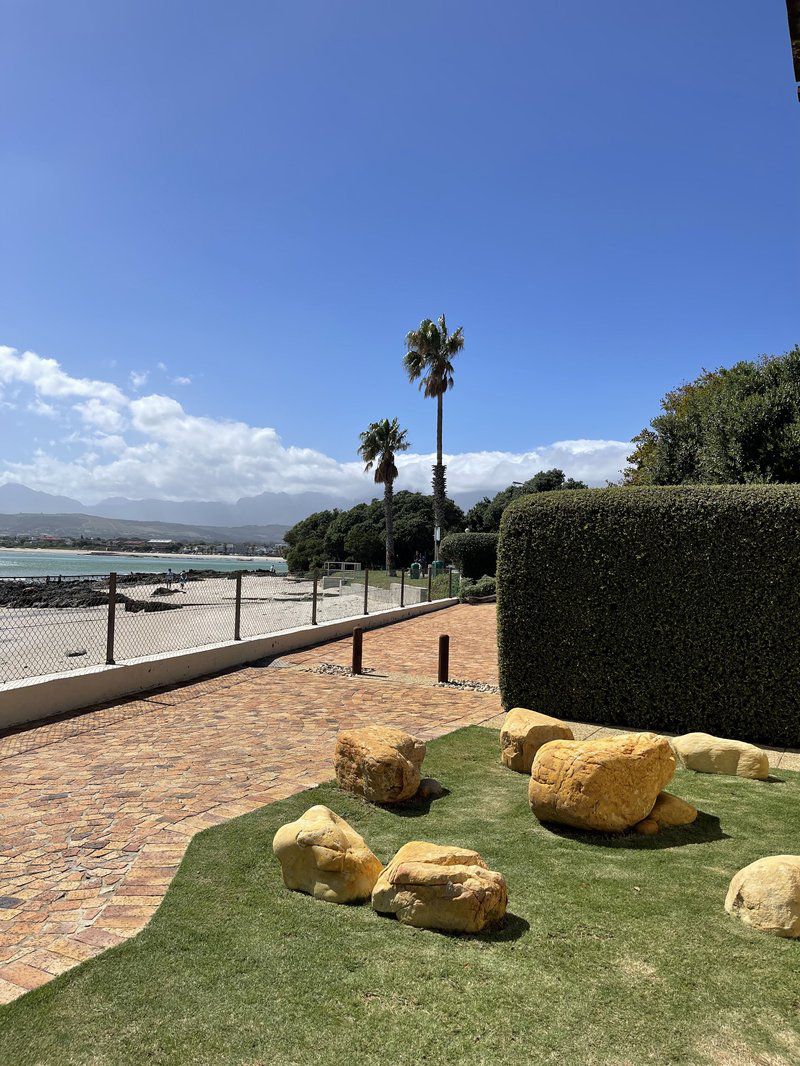 By Die See Gordons Bay Western Cape South Africa Complementary Colors, Beach, Nature, Sand, Palm Tree, Plant, Wood