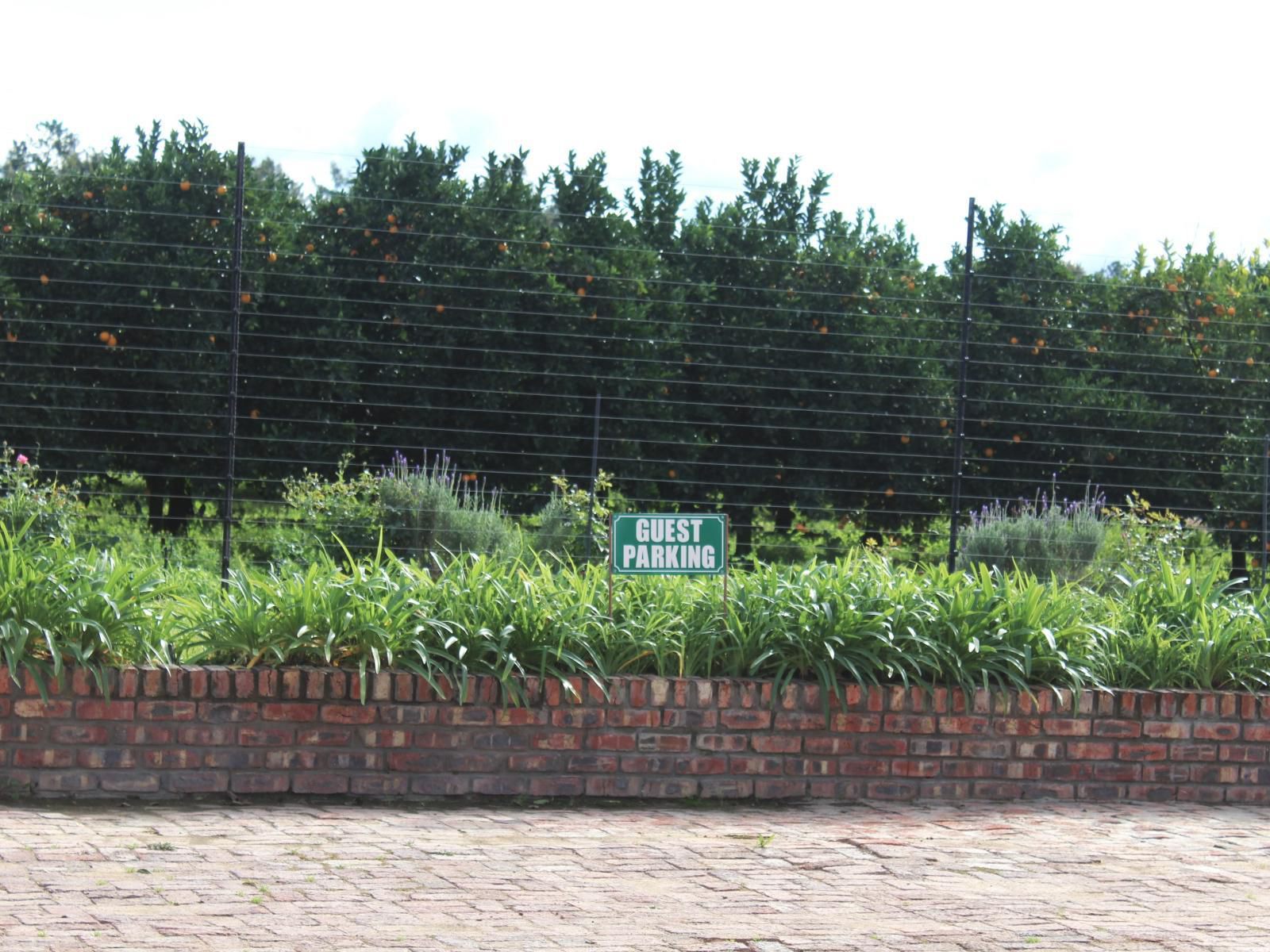 Bydand Bed & Breakfast, Field, Nature, Agriculture, Brick Texture, Texture, Garden, Plant